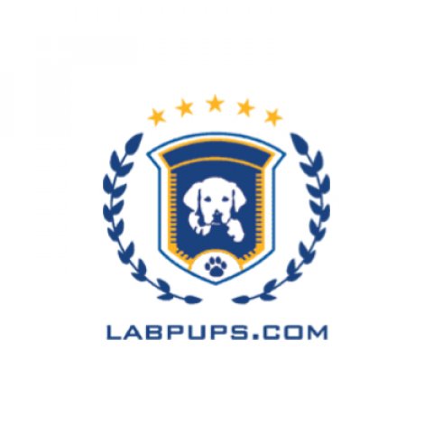 LABPUPS.COM